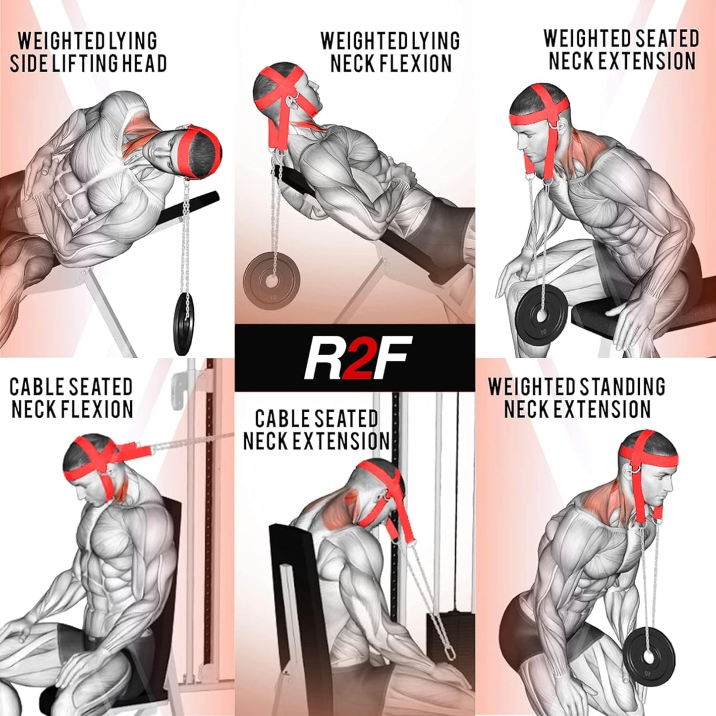 Enhance your neck strength with R2F Sports' neck harness weight lifting training. Our specialized equipment and training techniques are designed to help you build a strong and resilient neck. Improve your overall athletic performance and reduce the risk of injury with our effective neck training program.